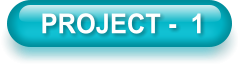 PROJECT -  1