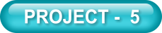 PROJECT -  5