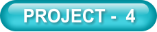 PROJECT -  4