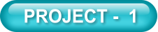 PROJECT -  1